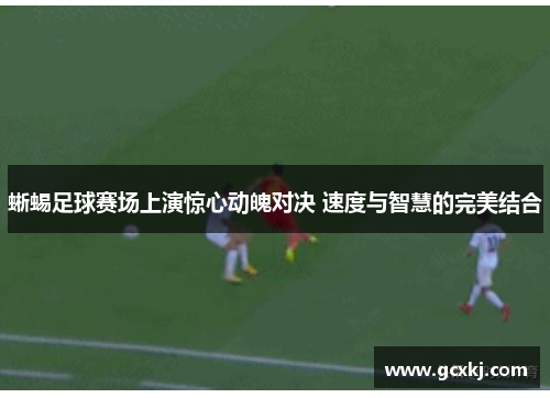 蜥蜴足球赛场上演惊心动魄对决 速度与智慧的完美结合